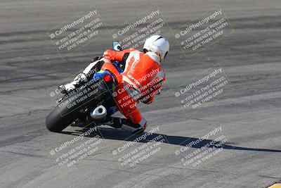 media/Feb-04-2024-SoCal Trackdays (Sun) [[91d6515b1d]]/4-Bowl Backside (11am)/